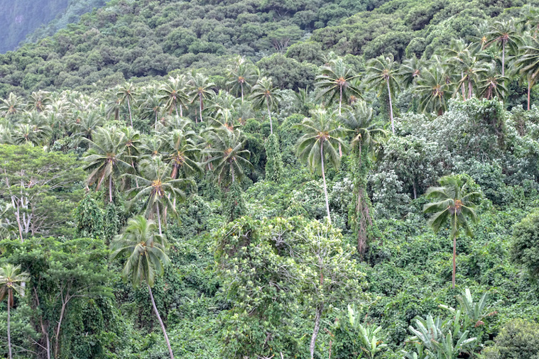 Appel à projets ABC : connaître la nature pour mieux la protéger Appel à projets ABC : connaître la nature pour mieux la protéger