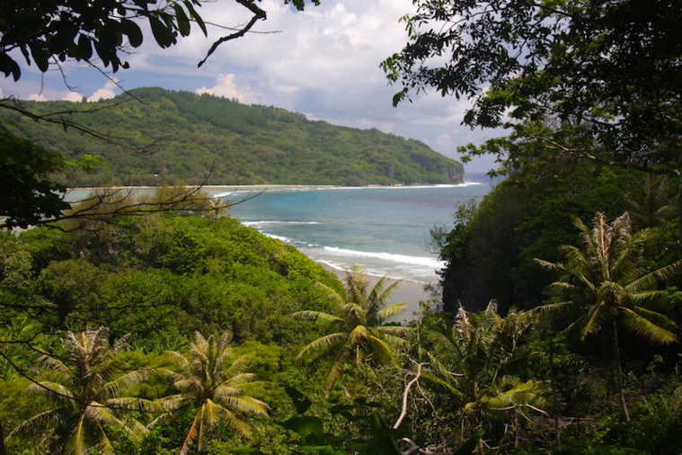 Rurutu et Rimatara : 105 terres rendues aux familles Rurutu et Rimatara : 105 terres rendues aux familles