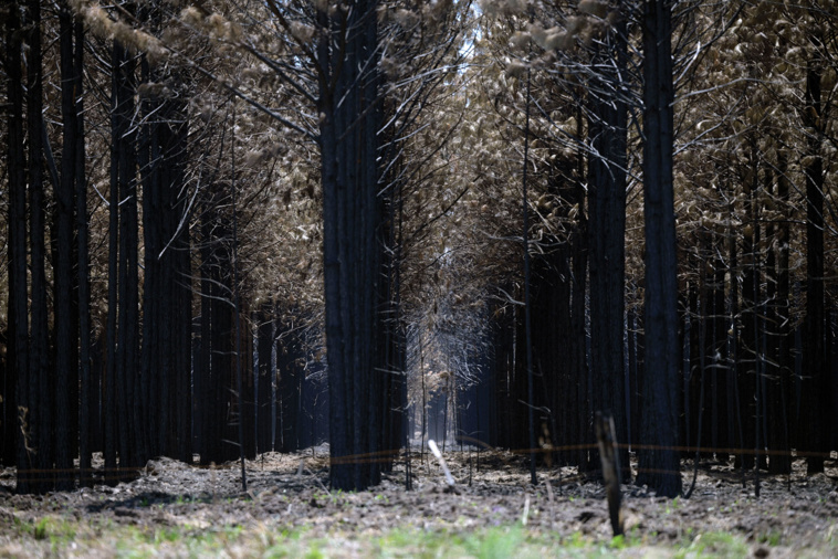 JUAN MABROMATA / AFP JUAN MABROMATA / AFP