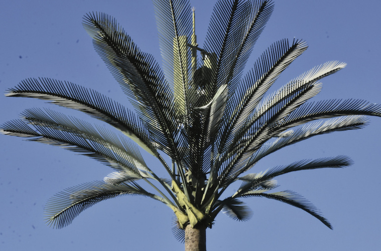 Onati contrainte de rétablir l'itinérance pour Vodafone à Raiatea et Huahine Onati contrainte de rétablir l'itinérance pour Vodafone à Raiatea et Huahine