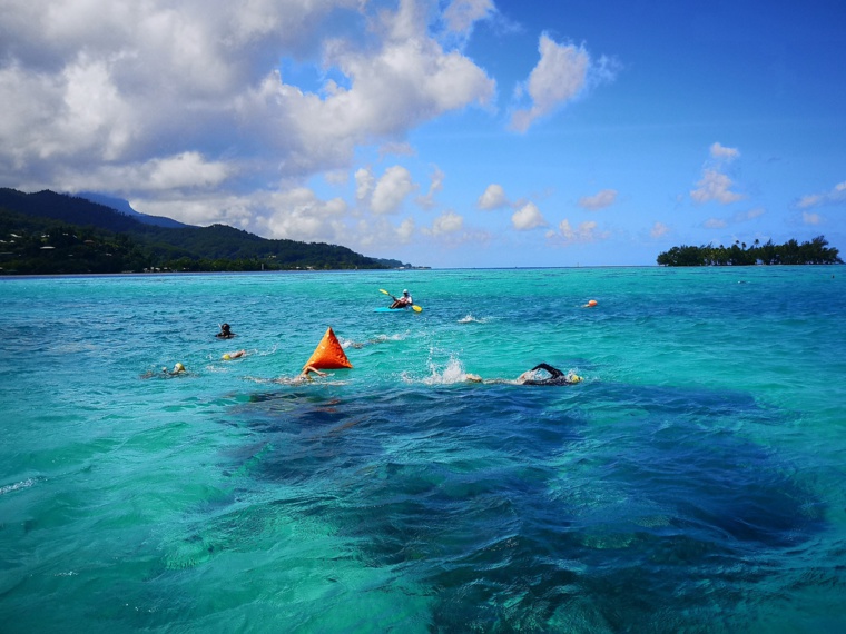Course en eaux claires à Raiatea Course en eaux claires à Raiatea