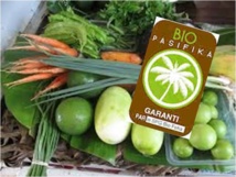 Rencontre « ouverte au public » de l’association BIOFETIA sur l’agriculture biologique en Polynésie française Rencontre « ouverte au public » de l’association BIOFETIA sur l’agriculture biologique en Polynésie française