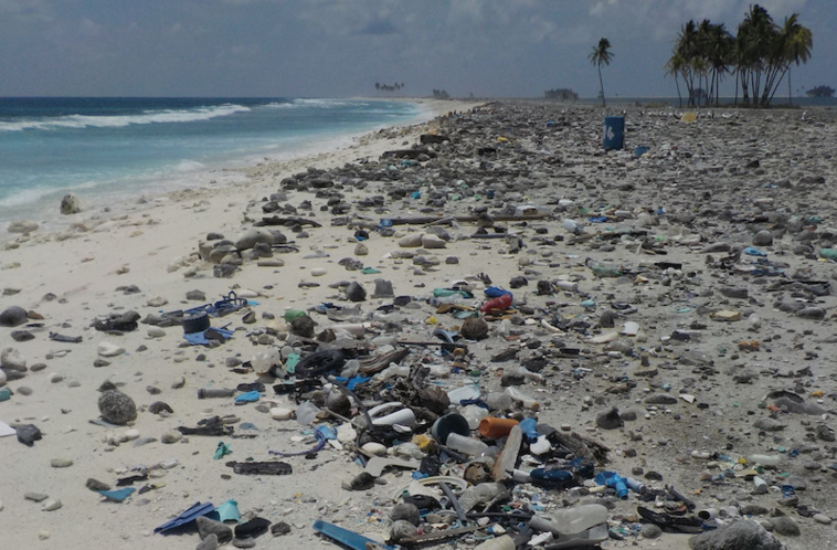 “Clipperton est loin d'être une île déserte” “Clipperton est loin d'être une île déserte”