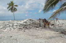 “Clipperton est loin d'être une île déserte” “Clipperton est loin d'être une île déserte”