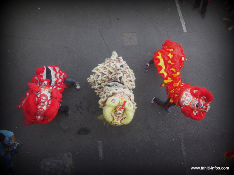 Trois lions pour chasser les démons, ce n'est jamais de trop ! Trois lions pour chasser les démons, ce n'est jamais de trop !