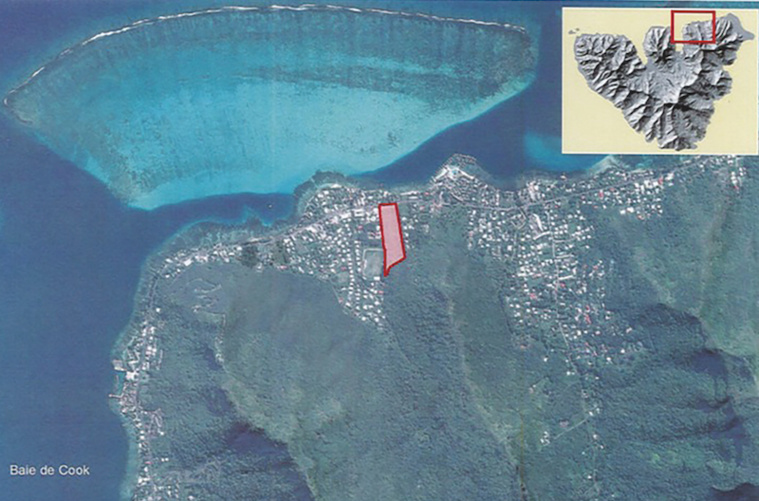 Carrefour Moorea : l'enquête publique est ouverte Carrefour Moorea : l'enquête publique est ouverte