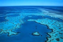 L'Australie défend des progrès "substantiels" dans la protection de la Grande barrière de corail