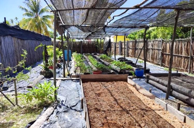 À Takume, plusieurs jeunes se sont investis dans la production agricole dans le but d'anticiper une autosuffisance alimentaire. À Takume, plusieurs jeunes se sont investis dans la production agricole dans le but d'anticiper une autosuffisance alimentaire.