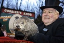 USA: l'hiver va durer, prédit Phil la marmotte USA: l'hiver va durer, prédit Phil la marmotte