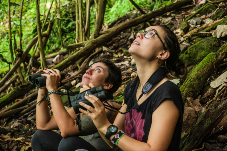 L'observation fait partie intégrante du travail de Natalia et Chiara qui restent attentives à la moindre variation du comportement des oiseaux L'observation fait partie intégrante du travail de Natalia et Chiara qui restent attentives à la moindre variation du comportement des oiseaux