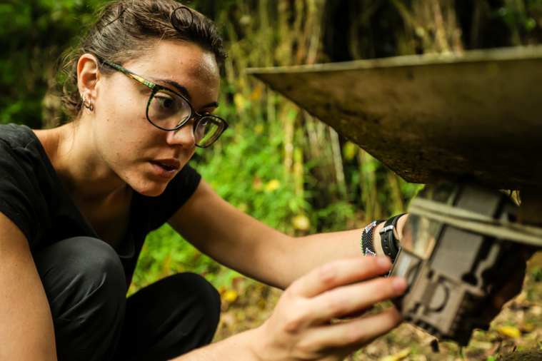 Natalia récupère chaque semaine les précieuses images obtenues par les caméras automatiques installées dans la vallée Natalia récupère chaque semaine les précieuses images obtenues par les caméras automatiques installées dans la vallée