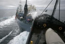 Sea Shepherd: Tokyo demande à La Haye des "actions concrètes" après une collision Sea Shepherd: Tokyo demande à La Haye des "actions concrètes" après une collision