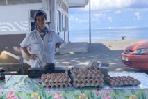 Pénurie d'oeufs à Huahine Pénurie d'oeufs à Huahine