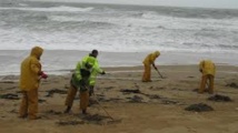 Arrivée de nouvelles galettes d'hydrocarbures sur des plages de l'Atlantique