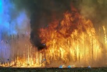 Australie: de nouveaux incendies violents détruisent des habitations
