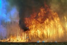 Australie: de nouveaux incendies violents détruisent des habitations Australie: de nouveaux incendies violents détruisent des habitations