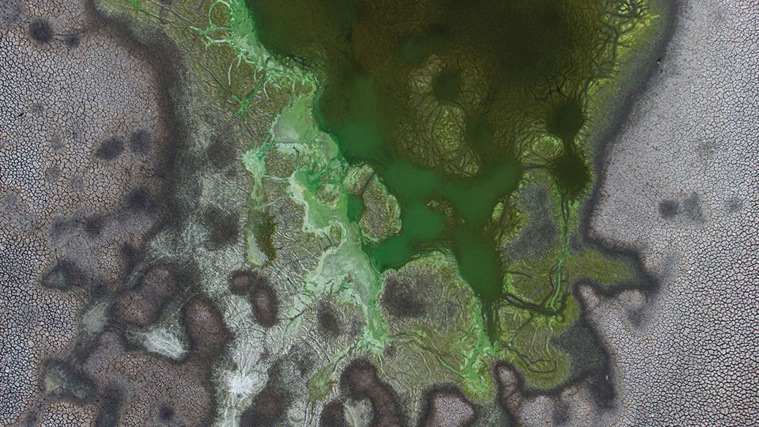 Martin BERNETTI / AFP Martin BERNETTI / AFP