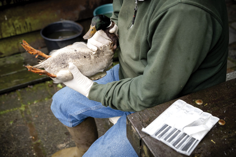 Sander Koning / ANP / AFP Sander Koning / ANP / AFP