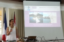 Une thèse sur ceux qui ont "envie d'îles" Une thèse sur ceux qui ont "envie d'îles"