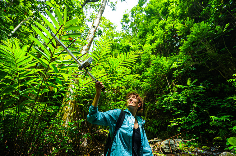 Aimie munie de l’antenne et du récepteur VHF permettant de détecter le signal émis par les émetteurs posés sur les oiseaux. (Photo : Simon Saada et Manu SOP) Aimie munie de l’antenne et du récepteur VHF permettant de détecter le signal émis par les émetteurs posés sur les oiseaux. (Photo : Simon Saada et Manu SOP)