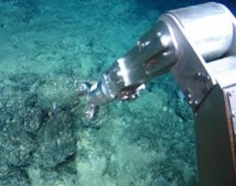 Des scientifiques sonnent l'alarme sur l'exploitation des fonds marins