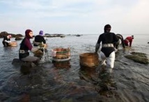 Trois jours après leur disparition, des plongeuses japonaises retrouvées agrippées aux coraux