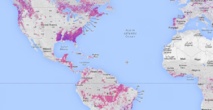 Google lance un observatoire mondial de la déforestation