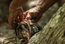 Alain et Ruaruhina, les sauveurs de kaveu Alain et Ruaruhina, les sauveurs de kaveu