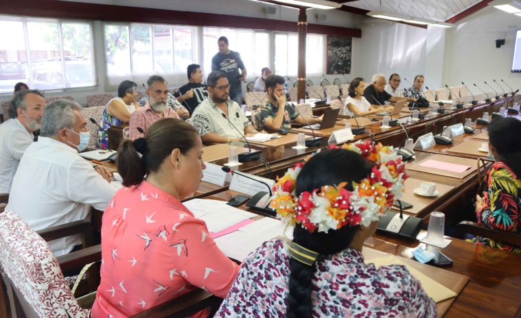Le dossier des Marquises à l’Unesco "poursuit son avancée" Le dossier des Marquises à l’Unesco "poursuit son avancée"