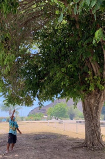 Ua Pou : Un jeune gravement blessé, évasané en bonitier Ua Pou : Un jeune gravement blessé, évasané en bonitier