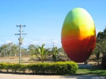 Des plaisantins volent une mangue de sept tonnes en Australie