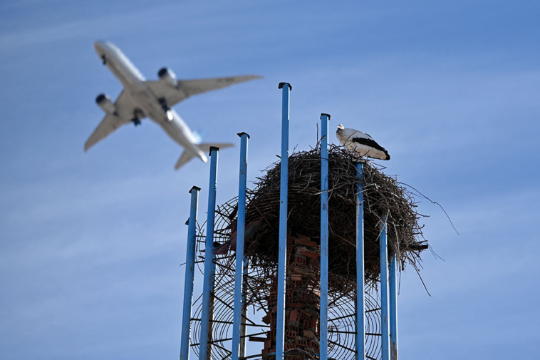 Gabriel BOUYS / AFP Gabriel BOUYS / AFP
