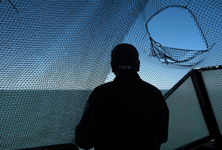 Guillermo ARIAS / AFP Guillermo ARIAS / AFP