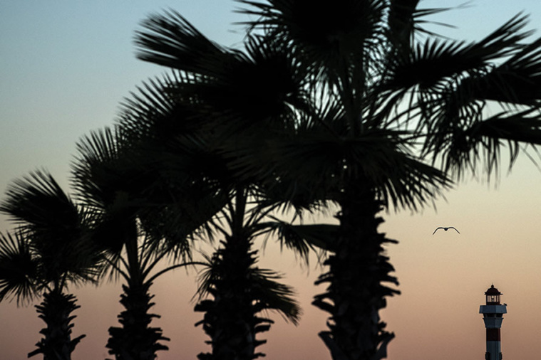 JOEL SAGET / AFP JOEL SAGET / AFP