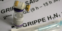 La souche H1N1 est désormais intégrée au vaccin saisonnier de la grippe. Il n'y a plus à présent de risque de pandémie mondiale de grippe H1N1 comme ce fut le cas en 2009.