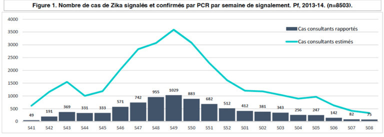 Moustiques : la menace du zika s’éloigne, celle de la dengue se ravive Moustiques : la menace du zika s’éloigne, celle de la dengue se ravive