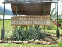 Journée portes ouvertes du lycée agricole de Moorea Journée portes ouvertes du lycée agricole de Moorea