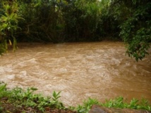 Pluies : attention au risque élevé de leptospirose (màj) Pluies : attention au risque élevé de leptospirose (màj)