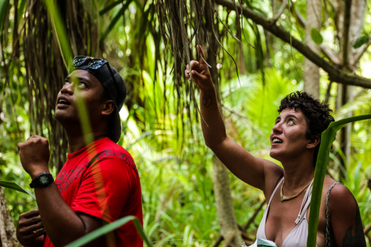 Chiara Ciardiello, membre de la SOP Manu, en charge du programme de protection du monarque de Fatu Hiva, s'est rendue à son tour au Lagon bleu pour constater les dangers qui menacent les loris. Chiara Ciardiello, membre de la SOP Manu, en charge du programme de protection du monarque de Fatu Hiva, s'est rendue à son tour au Lagon bleu pour constater les dangers qui menacent les loris.