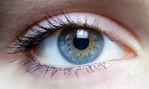 Pathologies de l'oeil: un médicament alternatif au Lucentis va être autorisé