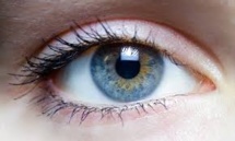 Pathologies de l'oeil: un médicament alternatif au Lucentis va être autorisé Pathologies de l'oeil: un médicament alternatif au Lucentis va être autorisé