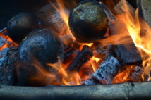 Venez régaler vos pupilles et vos papilles au 2ème Festival du 'uru