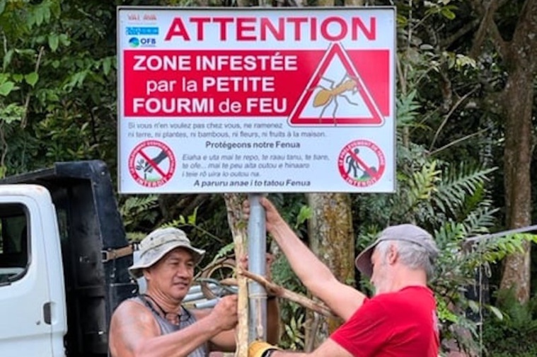 ©Association Vai Ava ©Association Vai Ava