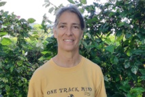 Alerte à la petite fourmi de feu à Raiatea Alerte à la petite fourmi de feu à Raiatea