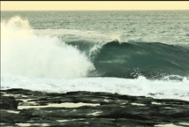 Un surfeur australien blessé dans une collision avec un dauphin Un surfeur australien blessé dans une collision avec un dauphin