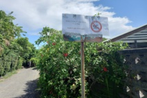 Après l'attaque de requin, les clubs de plongée démentent tout "shark feeding" Après l'attaque de requin, les clubs de plongée démentent tout "shark feeding"