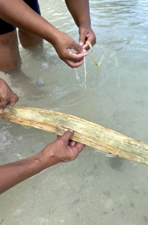 Le more, de génération en génération à Hao Le more, de génération en génération à Hao