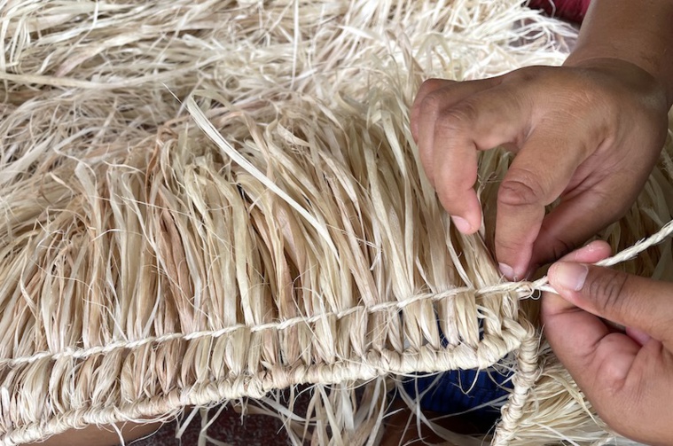 Le more, de génération en génération à Hao Le more, de génération en génération à Hao