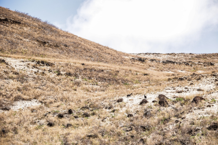 La Terre aride des Hommes La Terre aride des Hommes