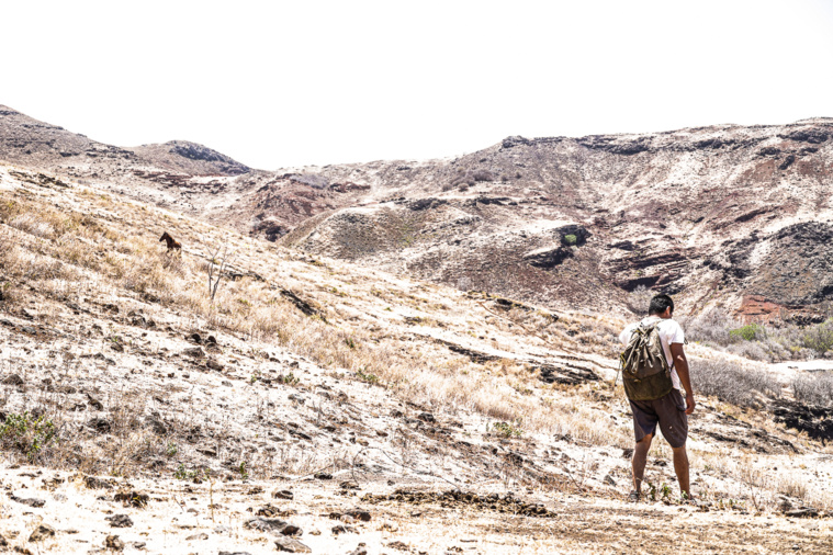 Les côtes ouest des îles Marquises, ici Tahuata, sont les plus touchées par la sécheresse, car à l'abri des nuages poussés par les alizés. Les côtes ouest des îles Marquises, ici Tahuata, sont les plus touchées par la sécheresse, car à l'abri des nuages poussés par les alizés.